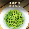 茶马世家绿茶 新茶春茶一级口粮茶恩施硒茶高山云雾茶浓香型袋装茶叶500g /水饮冲调 /茗茶 /绿茶 商品缩略图1