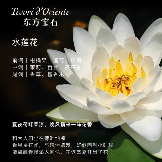 【中欧班列】意大利原装进口东方宝石香氛液体皂沐浴清洁家用洗手液 300ml  ON 商品图3