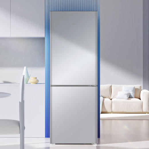 海尔（Haier）冰箱 BCD-172WGHC2E9S9 商品图0