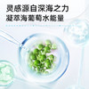 【普莉斯町丨海葡萄凝水高保湿面膜】不止表面 由内拔除敏感根源 急救修护舒缓补水保湿 海葡萄深海补水力筑起肌肤水屏障 由内而外水润健康 商品缩略图4