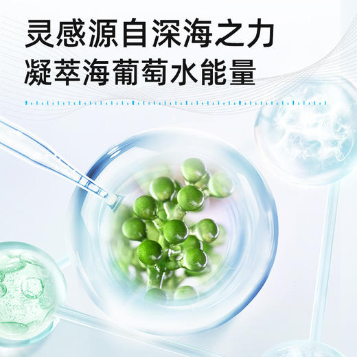 【普莉斯町丨海葡萄凝水高保湿面膜】不止表面 由内拔除敏感根源 急救修护舒缓补水保湿 海葡萄深海补水力筑起肌肤水屏障 由内而外水润健康 商品图4