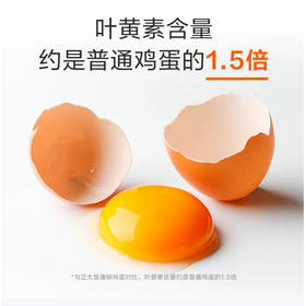 正大玉米黄鸡蛋【20枚】
