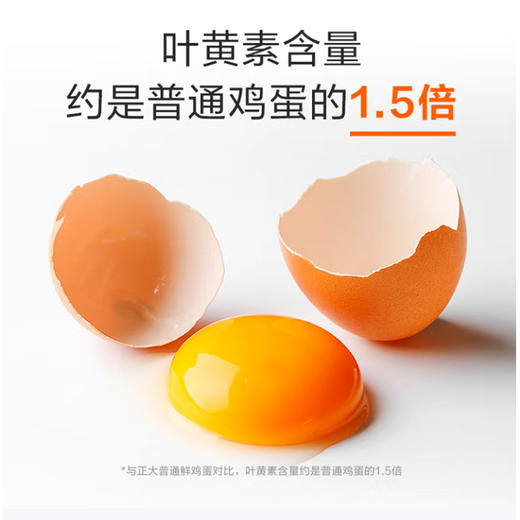 正大玉米黄鸡蛋【20枚】 商品图0