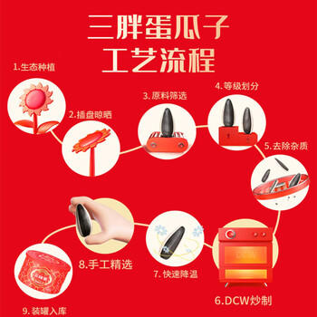 三胖蛋 葵花籽南瓜子 正宗内蒙特产 大瓜子1046g/6罐 多种口味 节日礼盒 /休闲食品 /坚果炒货 /坚果礼盒 商品图7