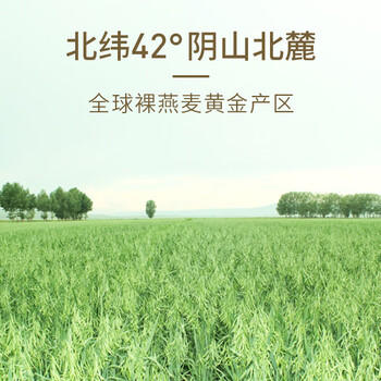 阴山优麦纯裸燕麦片1KG桶装 绿色食品 膳食纤维 免煮 零添加蔗糖 营养早餐 /水饮冲调 /冲饮谷物 /麦片 商品图2