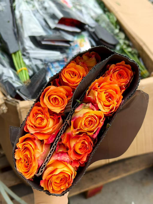 单头玫瑰，颜色随机，10支/束 商品图2