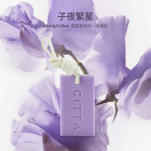 CITTA/西苔 清新淡雅持久留香家居衣橱香薰蜡片香薰高级感挂件装饰 商品图1