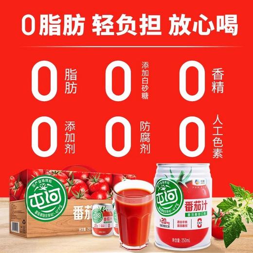 中粮屯河无糖番茄汁250ml果蔬汁（新老包装随机） 商品图3