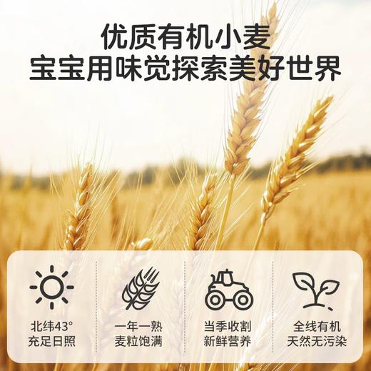 贝亲辅食 有机钙铁锌 营养面 200g 商品图2