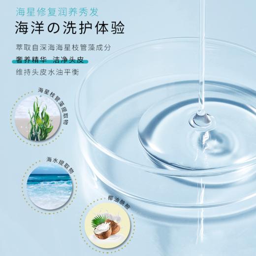 【中欧班列】日本蜜梨品牌洗发水 海洋干性油性中性洗发/胶原养护发膜 500ml/瓶 商品图6