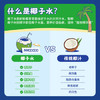 INNOCOCO泰国进口100%椰子水330ml*24瓶青椰果汁椰子水整箱补充电解质 /水饮冲调 /饮料 /果蔬汁/饮料 商品缩略图4