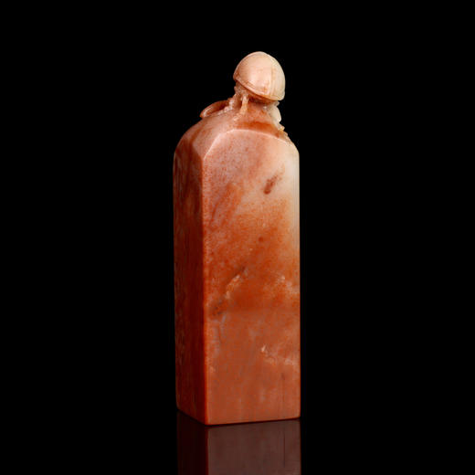 孤品017122-老挝石昆虫钮方章-2.5*2.5*9.3cm 商品图2