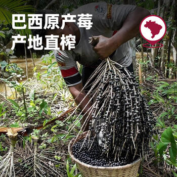 王饱饱【超模同款】巴西莓粉花青素果蔬纤维粉冲饮品独立包装3.5g*10 /水饮冲调 /冲饮谷物 /果蔬粉 商品图2