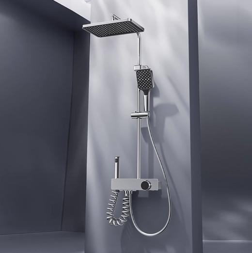 6043 伯尔尼四档按键花洒-电镀（全铜水路） 商品图3