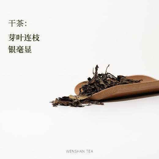 守艺 · 暖白2016年炭焙春寿眉50克*1罐 商品图1