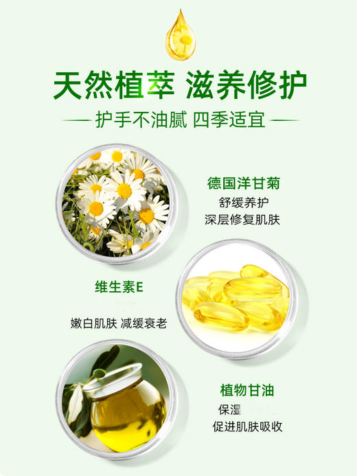 【中欧班列】秋冬护手必备德国贺本清小甘菊护手霜75ml/瓶 商品图5