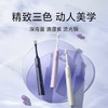 小米电动牙刷T302成人/学生 4种净齿模式 150天续航 4支刷头 银灰色 /家用电器 /个护健康 /电动牙刷 商品缩略图0