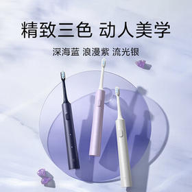 小米电动牙刷T302成人/学生 4种净齿模式 150天续航 4支刷头 银灰色 /家用电器 /个护健康 /电动牙刷