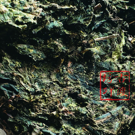 手筑泾阳茯茶（小茯）50g 商品图3