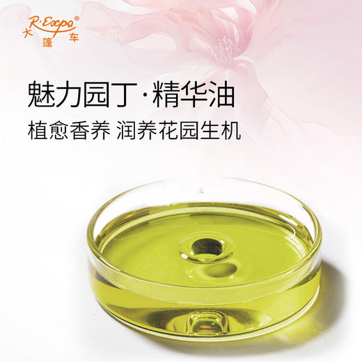 魅力园丁·精华油 植物精油原料批发芳疗SPA按摩植愈康养精华油 商品图1