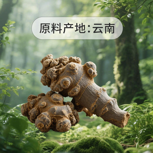 SC （土特产）  药知源三七 粉  80g/罐   有效期20271102 商品图9