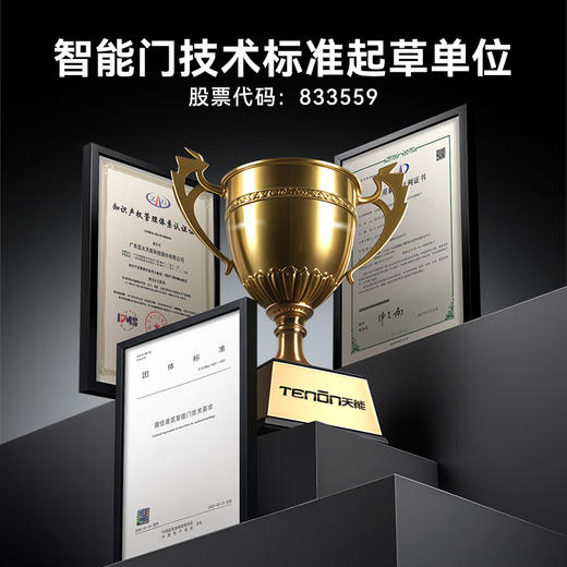 亚太天能精雕铸铝智能门H8pro一体化全自动AI三摄监控防盗入户门家用进户门子母大门 商品图9