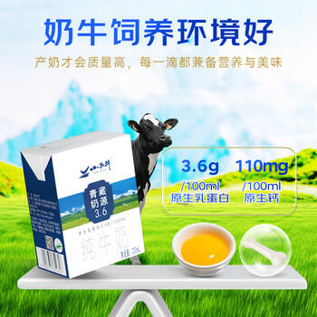 小西牛青藏奶源纯牛奶3.6g蛋白儿童营养奶200ml*16盒整箱 /水饮冲调 /常温奶 /基础牛奶 商品图1