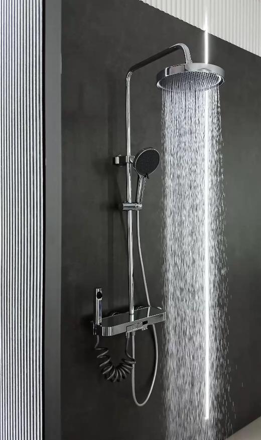 6047凯恩花洒-电镀 商品图5