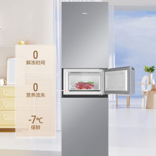 海尔（Haier）冰箱 BCD-217WGHC3E9S9 商品图6