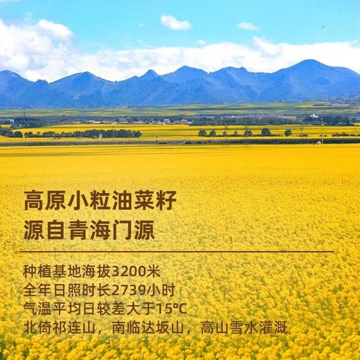 长安花小榨浓香菜籽油5L 商品图3