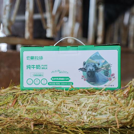 云氧牧场石埠水牛奶 | 一口醇厚 · 满口香浓.营养丰富口感甘甜【清明期间正常发货】 商品图3