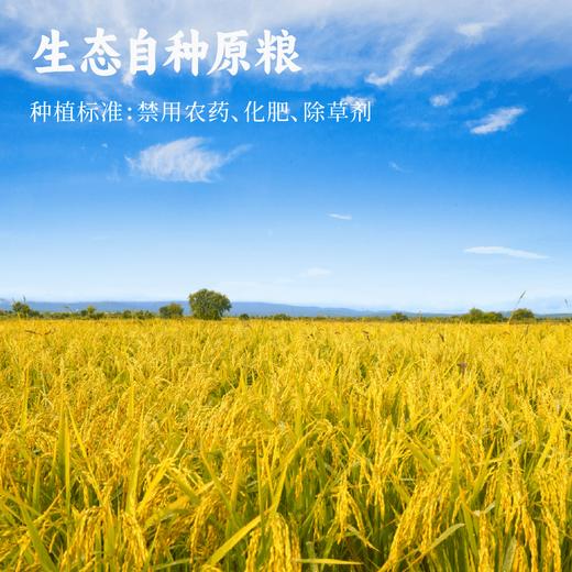 糙米奶200ml*6 商品图8