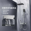 6043 伯尔尼四档按键花洒-电镀（全铜水路） 商品缩略图2