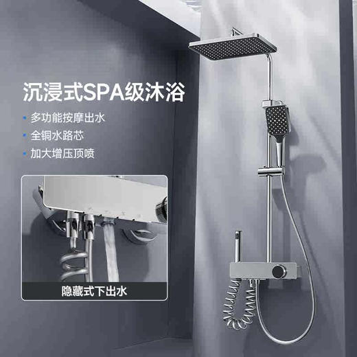 6043 伯尔尼四档按键花洒-电镀（全铜水路） 商品图2