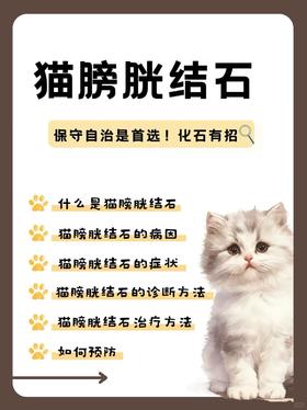 一定要重视猫咪的泌尿系统健康