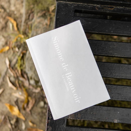 老年 [法]西蒙娜·德·波伏瓦 著 孟玉秋 译 作者重量级论著 社会观察 养老 老年性别维度 打破禁忌 未来生活 上海译文出版社 正版 商品图5