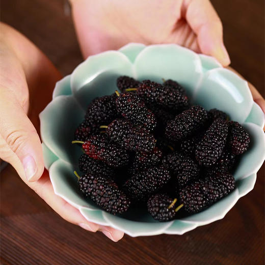 雷慧仙青瓷粉青莲瓣盘 商品图6