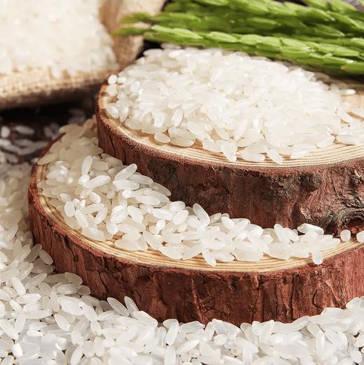 五常稻花香礼盒装  5kg 商品图3