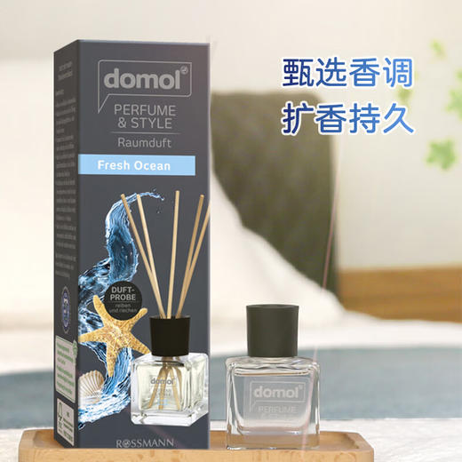 【中欧班列2盒】domol德国进口香薰摆件 原装进口 无火藤条挥发海洋清香50ml/瓶 商品图2