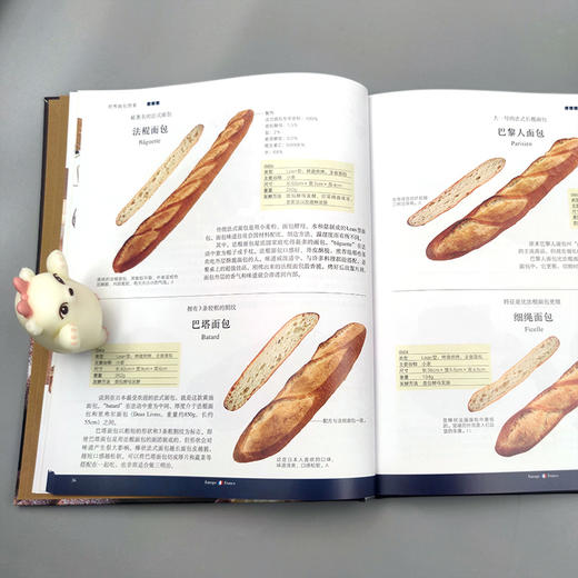 世界面包图鉴（世界经典译丛） 商品图2