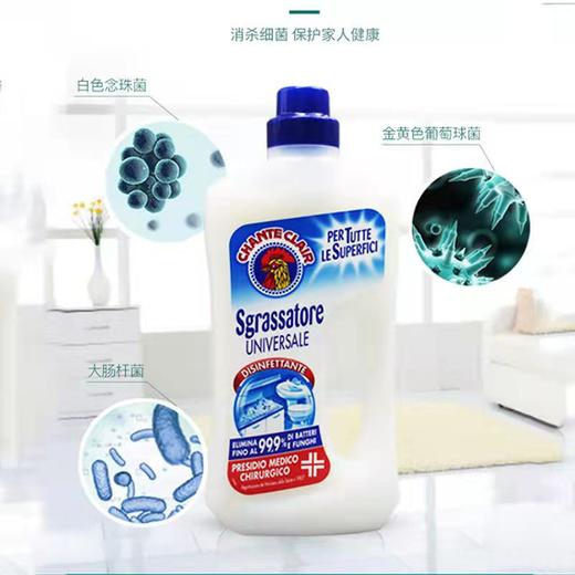 【中欧班列2瓶】意大利清洁剂 原装进口大公鸡管家地板清洁护理液750ml/瓶OC 商品图3