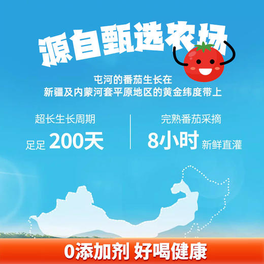 中粮屯河无糖番茄汁250ml果蔬汁（新老包装随机） 商品图4