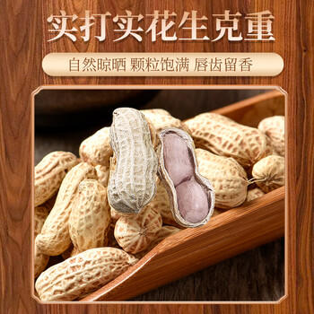 俏己食蒜香龙岩水煮花生坚果炒货白晒干咸干湿烤花生零食下酒菜解馋1斤 /休闲食品 /坚果炒货 /花生 商品图3