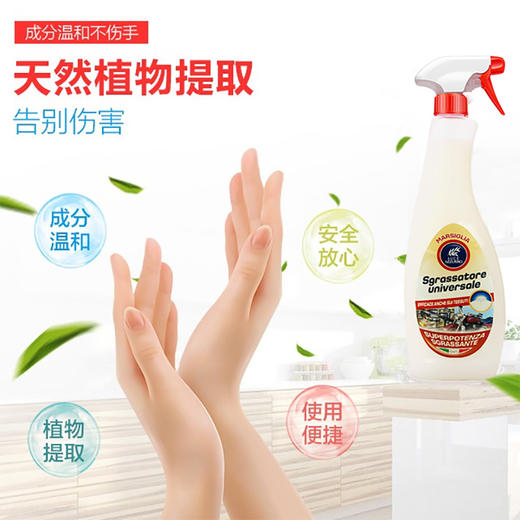 【中欧班列】意大利LUCE AZZURRO菲斯安娜多功能油污净 原装进口厨房多功能油烟机油污净 750ML/瓶 商品图2