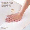 【白禾】【爆款上新】5A抗菌清逸云柔对装枕芯 商品缩略图5