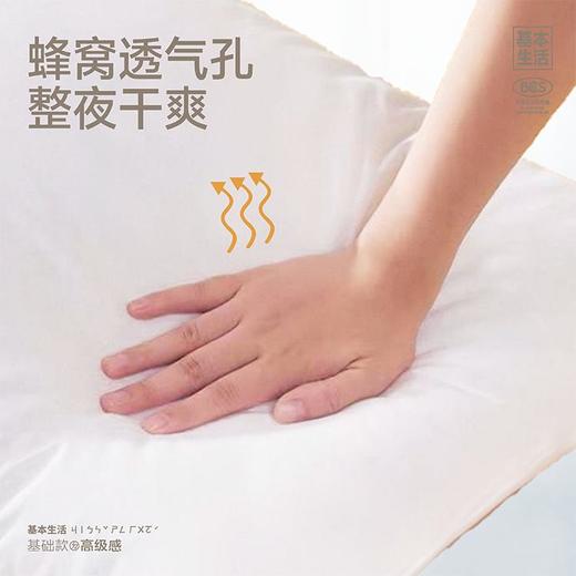 【白禾】【爆款上新】5A抗菌清逸云柔对装枕芯 商品图5