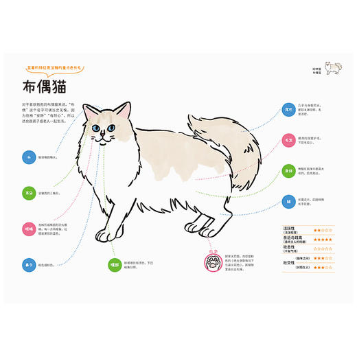 【SendPoints】【万物图解】与猫共处：猫咪毛色与性格的基因密码 善本中文简体艺术漫画 商品图3