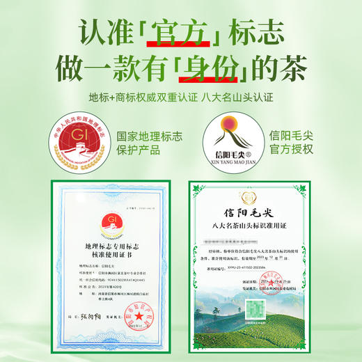 【2025新茶】茶马世家春色满园特级信阳毛尖200g礼盒装 商品图1