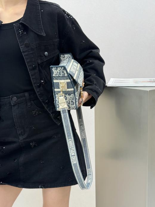 迪奥 camp邮差包小号 酒椰草oblique印花刺绣（LZ*MM） 商品图4