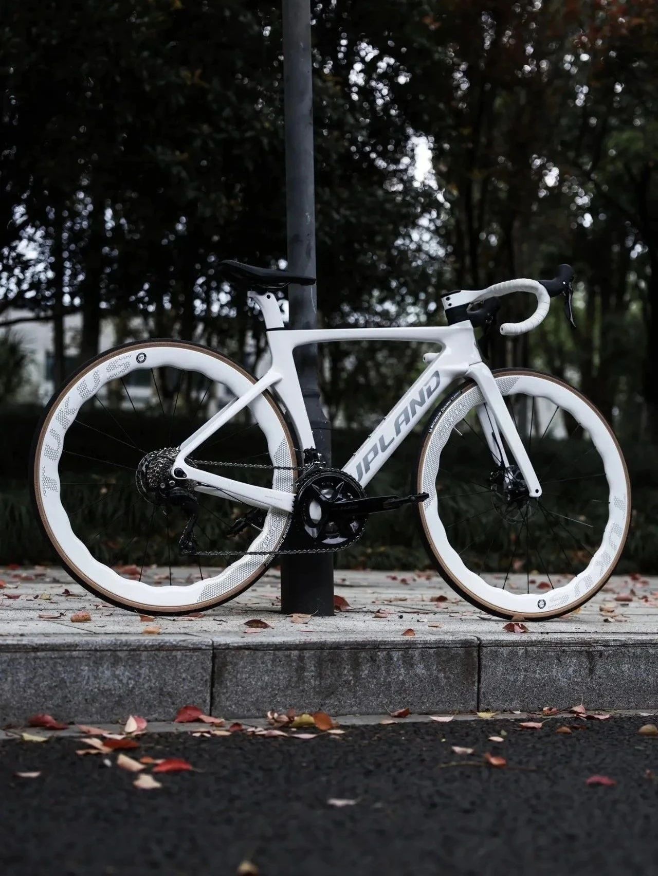 UPLAND阿普兰r70超轻全碳纤维公路自行车机械24速 油压碟刹骑行